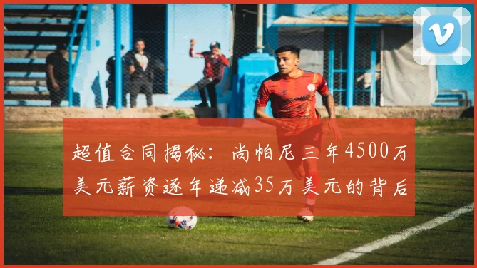 超值合同揭秘：尚帕尼三年4500万美元薪资逐年递减35万美元的背后故事